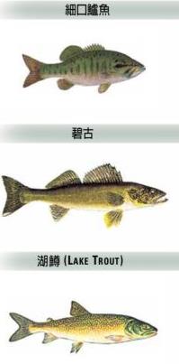 【收藏】休闲+运动+省钱！在加拿大钓鱼一举多得3