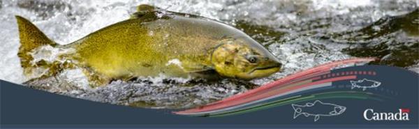 【收藏】休闲+运动+省钱！在加拿大钓鱼一举多得7