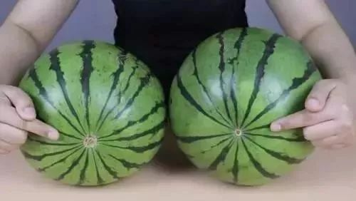 水果也分公母?加拿大秋季瓜果挑选秘诀! 1 水果也分公母?加拿大秋季瓜果挑选秘诀! 1