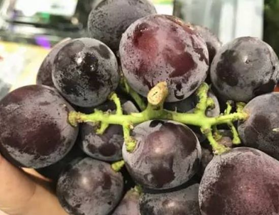 水果也分公母?加拿大秋季瓜果挑选秘诀! 2 水果也分公母?加拿大秋季瓜果挑选秘诀! 2