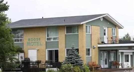 超低价出售土地4年!加拿大这个小镇房价到底经历了什么?4 超低价出售土地4年!加拿大这个小镇房价到底经历了什么?4