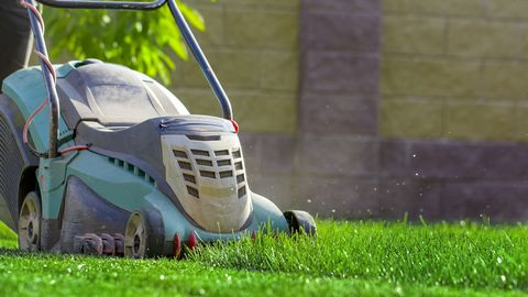 秋季不做这些？加拿大的房子只能越住越贵！4