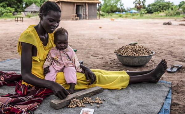 马斯克摊上事儿了！世粮署公布全球饥荒计划明细2