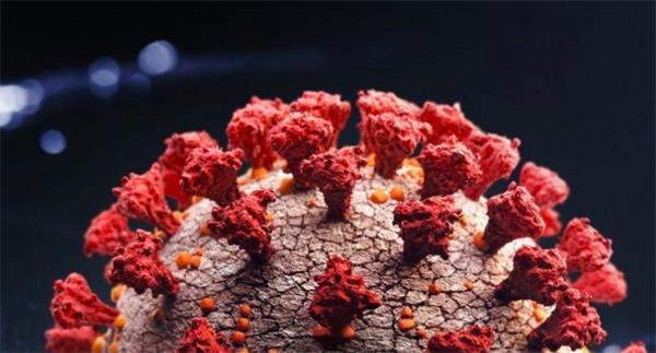 变种新毒株奥米克戎毒株全球扩散！新疫苗何时出现？3
