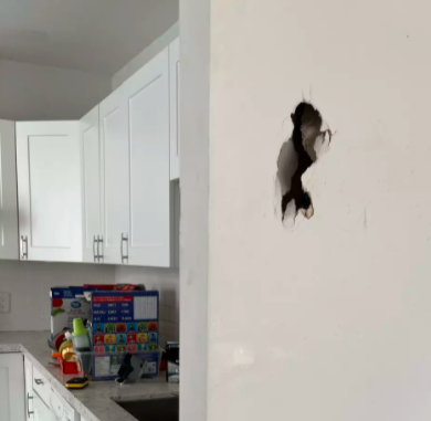 多伦多最倒霉房东！租客拒付租金，突然消失把房子搞得一团糟！4