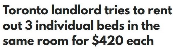全网爆怒!420加元租一个月!大多地区一位房东的出租广告引发争议2 全网爆怒!420加元租一个月!大多地区一位房东的出租广告引发争议2