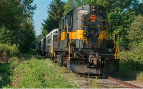 周末乐趣多！安大略沙滩策马扬鞭！火车上揭开谋杀之谜游戏3