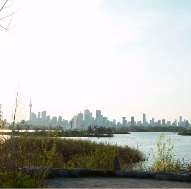 气温高达30°C！在这10个地方观看多伦多史诗般的日落美景2