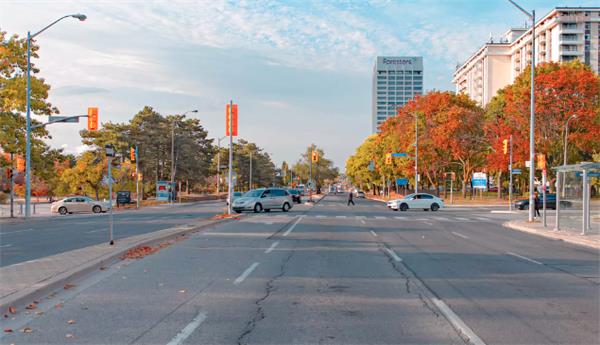 两个月5万多罚单！有人在同一街道最多收到14张超速罚单1