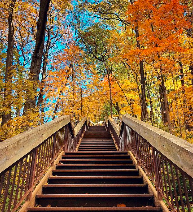 干燥与温暖！今年秋叶会更加火红！加拿大秋冬季天气预报出炉2