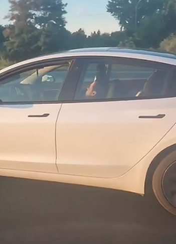 惊掉下巴！加拿大特斯拉司机在飞驰行驶的汽车内躲在方向盘后睡大觉3