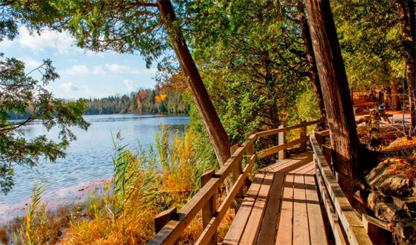 太美了！乘坐加拿大蒸汽火车来一场多伦多周边秋季之旅3