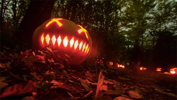 可怕！北美地区有人将毒品伪装成万圣节彩虹糖1