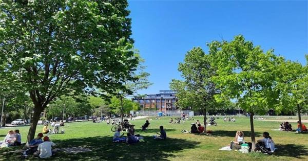 在公共场所或公园遛狗不拴狗链将被罚款 $365 1