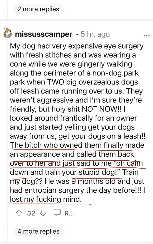 在公共场所或公园遛狗不拴狗链将被罚款 $365 2