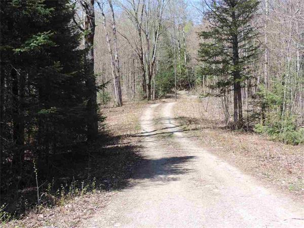 胆子大的可以收藏,在安省可供参观 10 个出名的闹鬼场所7 胆子大的可以收藏,在安省可供参观 10 个出名的闹鬼场所7