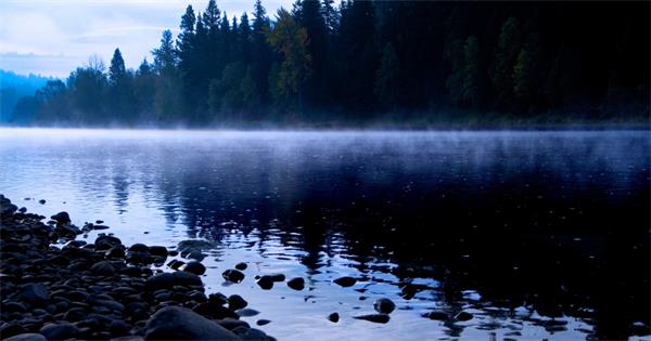 濒临灭绝的鲟鱼神秘死亡后，原住民称上游的水坝正在杀死鲟鱼2