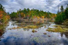 最值得你去的 TOP10 安省最美的秋天公路旅行1