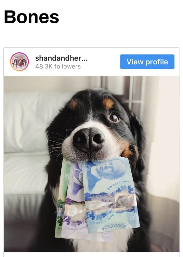 你肯定不知道，加拿大这些俚语是什么意思9