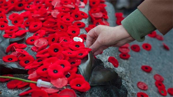 11月11老兵纪念日哪里开门哪里关门1 11月11老兵纪念日哪里开门哪里关门1