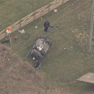 【视频】马群从农场逃跑，与 60岁司机相撞当场死亡1