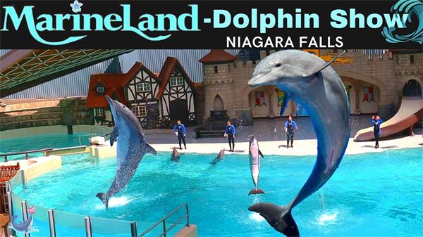 【视频】Marineland海洋动物园将被出售，部分土地用作开发1