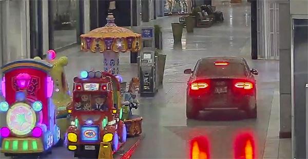 【视频】这两个小偷火了 “大胆而引人注目的犯罪” 开车直接冲进商场1
