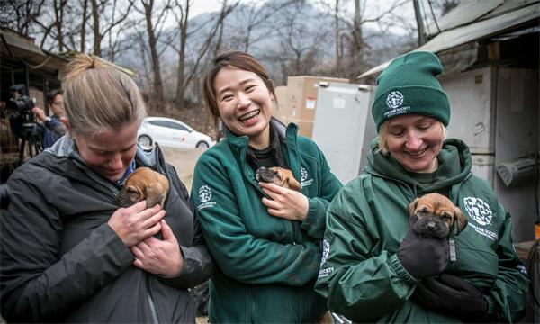 “爱的垃圾”：人道协会将以您前任的名字命名垃圾箱1