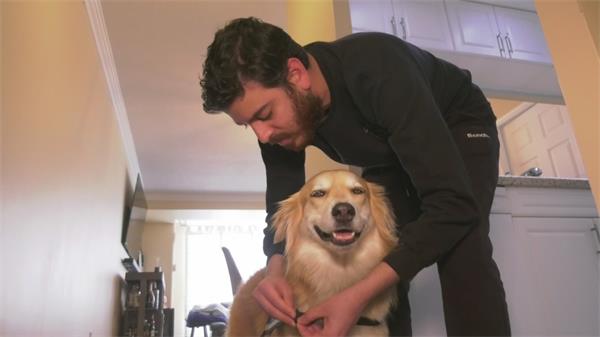 “抢钱”男子拒绝支付法律费用以在怡陶碧谷公寓饲养服务犬1 “抢钱”男子拒绝支付法律费用以在怡陶碧谷公寓饲养服务犬1