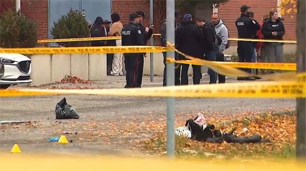 数据堪忧!多伦多3/4 的学校暴力事件剧增,学校难以管理2 数据堪忧!多伦多3/4 的学校暴力事件剧增,学校难以管理2