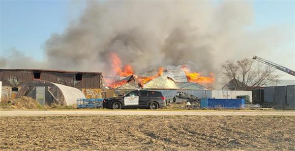 一场大火让价值过百万加币的古董化为乌有1