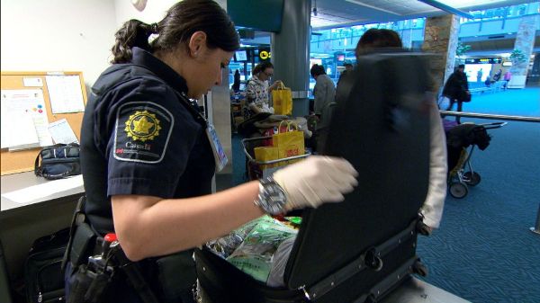 惊掉下巴！中国人把猫装入盒子邮寄到了加拿大1