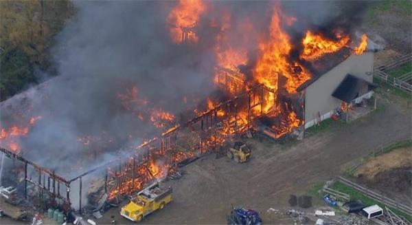 安大略省New Tecumseth的谷仓发生大火，无人伤亡1