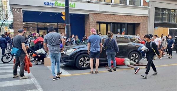 一群加拿大人冲进繁忙的街道营救可爱的动物1 一群加拿大人冲进繁忙的街道营救可爱的动物1