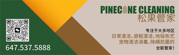 安大略省禁止在湖泊等省级水道上建造“浮动房屋”3 安大略省禁止在湖泊等省级水道上建造“浮动房屋”3
