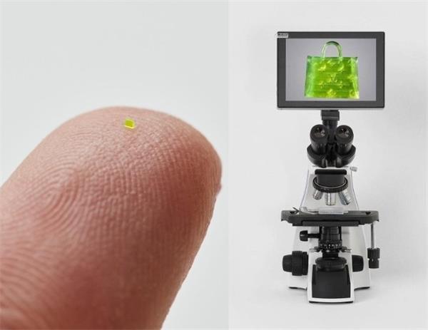 肉眼几乎看不见的小钱包在拍卖会上拍出了 6.7 万美元的价格1