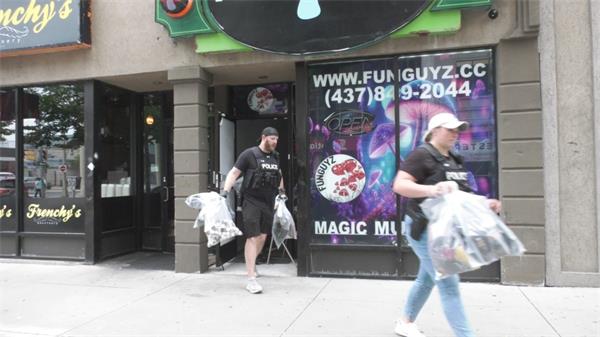 一家神奇蘑菇药房即将在蒙特利尔开业。唯一的问题？这是非法的1