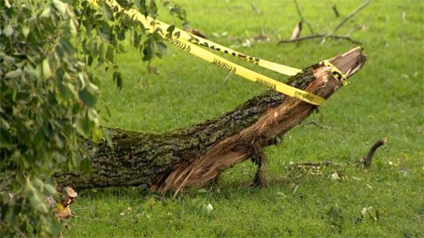 被树枝杀死的妇女是当地艺术界的名人1
