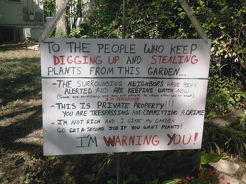 一连串植物盗窃案促使人们加强安全保卫3 一连串植物盗窃案促使人们加强安全保卫3