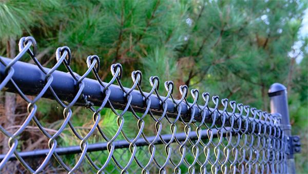 因砍伐邻居的树围栏,被判罚赔偿15万加元1 因砍伐邻居的树围栏,被判罚赔偿15万加元1