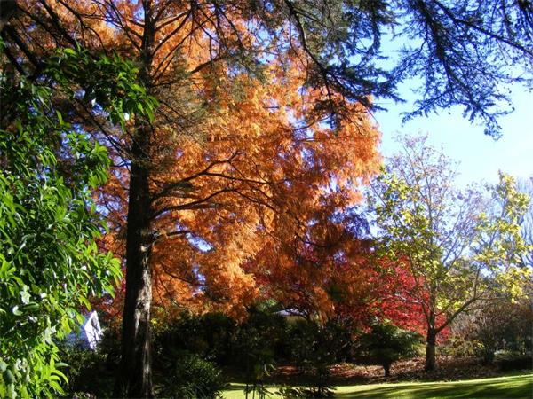 今年将是寒冷的秋季，会很快进入白雪皑皑的冬季1