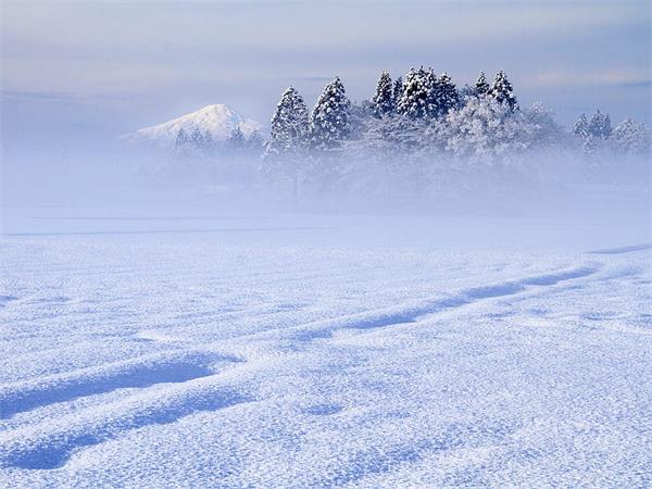 今年将是寒冷的秋季，会很快进入白雪皑皑的冬季2