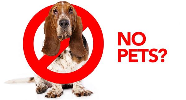 安省的租赁合同中可以禁止携带宠物吗？1