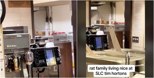 【视频】老鼠的视频,滑铁卢大学校内的Tim Hortons 关门了1 【视频】老鼠的视频,滑铁卢大学校内的Tim Hortons 关门了1