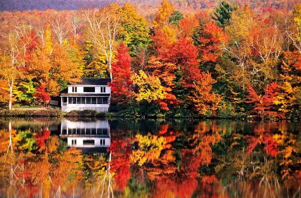 今年的秋天很温暖，推迟了安省色彩斑斓景色的到来1