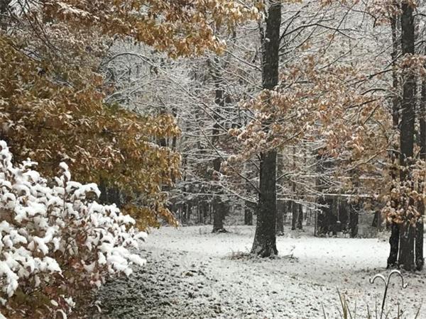 安省下周会迎来第一场雪1