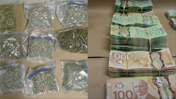 警方在万锦市查获价值近 50 万加元的毒品,华裔男子被指控1 警方在万锦市查获价值近 50 万加元的毒品,华裔男子被指控1