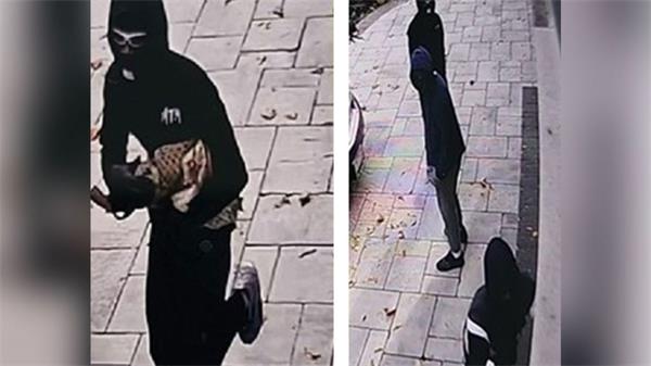 犯罪嫌疑人在抢劫期间袭击房主，强行进入北约克民宅1