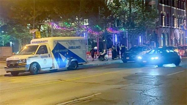 18岁男子在多伦多市中心公园射杀狗被捕1