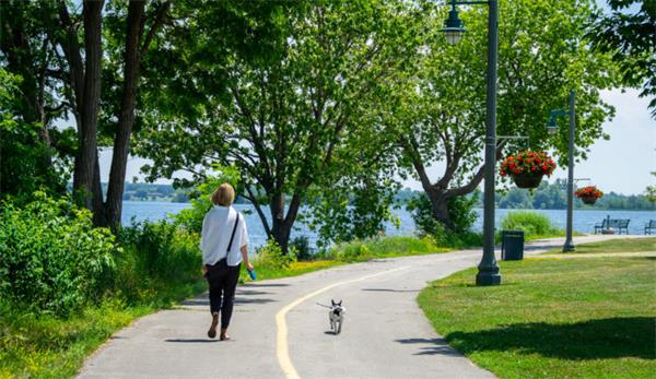 要在多伦多西区而不是东区买房的10个理由2